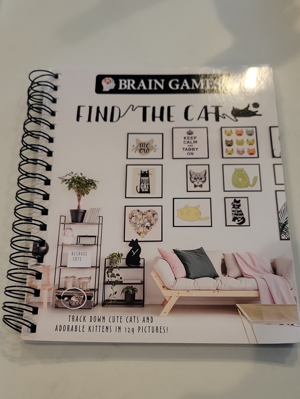 Find The Cat Brain Games Book